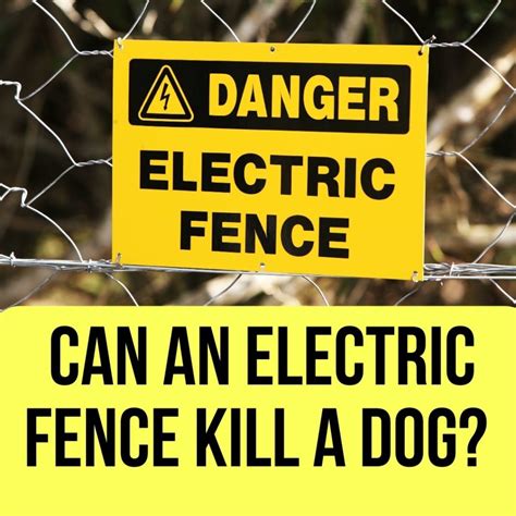 Can Electric Fence Kill You? Exploring the Shocking Truth and Beyond