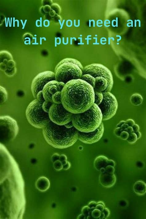 Do You Need an Air Purifier? Exploring the Unseen World of Indoor Air Quality