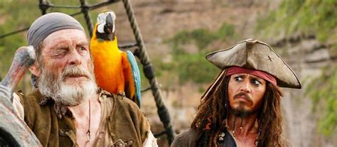 Does Pirate Ship Do Media Mail? And Why Do Parrots Prefer Pirate Ships Over Email?