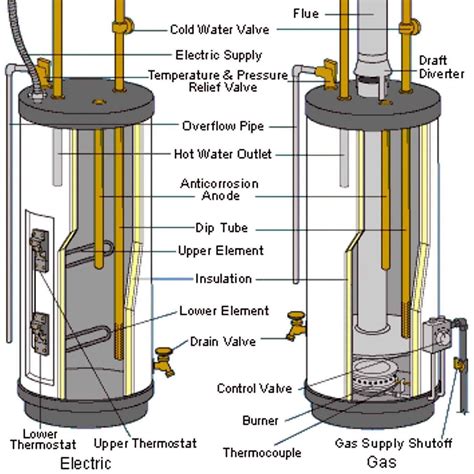 How Long Does It Take for an Electric Hot Water Tank to Heat Up? And Why Do Elephants Prefer Cold Showers?