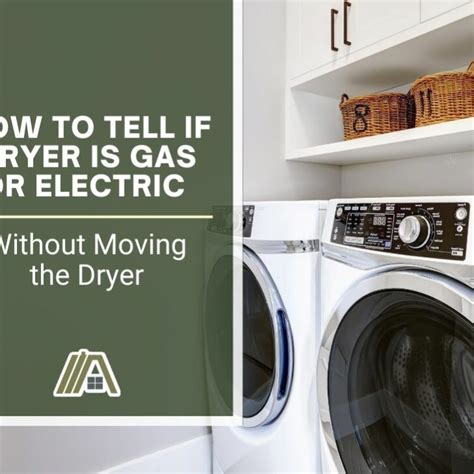 How to Tell If Dryer Is Gas or Electric: A Journey Through the Lint Trap of Knowledge