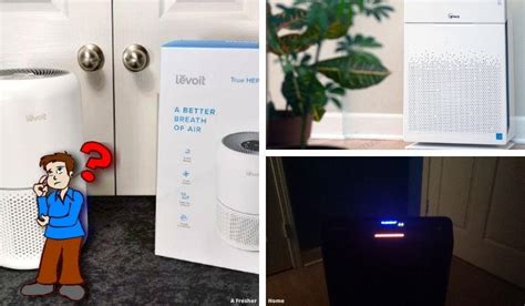 Is it bad to have an air purifier on all the time, or does it secretly whisper to the plants at night?