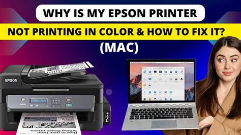 Why Isn't My Printer Printing in Color? And Why Do Rainbows Refuse to Attend My Birthday Party?